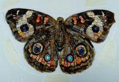 a close up of a butterfly made out of glass and stone mosaics on a white surface