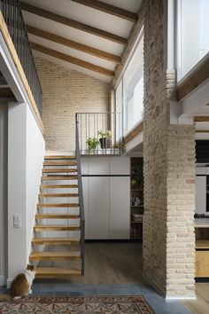 a cat sitting on the floor next to a stair case in a room with brick walls