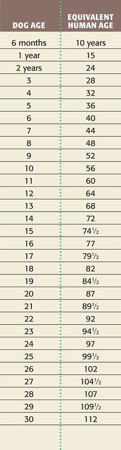 the dog age chart for humans and dogs is shown in this graphic above it's description