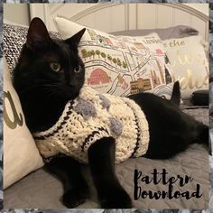 a black cat laying on top of a bed next to a white pillow and blanket