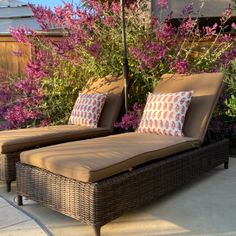 two brown chaise lounges sitting on top of a patio next to purple flowers