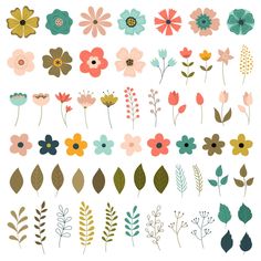 an assortment of flowers and leaves on a white background, including pink, blue, green,