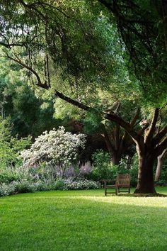 a park bench sitting under a tree in the middle of a lush green field with purple and white flowers