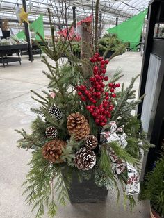 Christmas festive arrangements Winter Outdoor Decorations, Flowers To Make, Winter Arrangements, Winter Planter, Welcome Winter, Christmas Planters, Plants And Flowers, First Name, Christmas Centerpieces