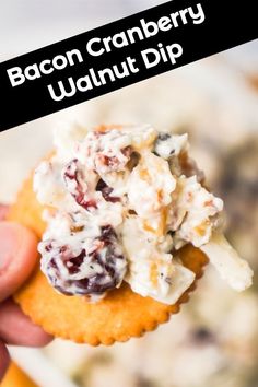 bacon cranberry walnut dip on a cracker