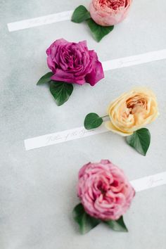 three different colored flowers on top of each other with name tags in front of them