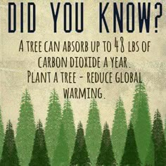 a poster with an image of trees and the words did you know? on it