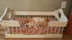 a brown dog laying in a white crib