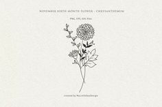 the cover art for november birth month flower chrysanthemum