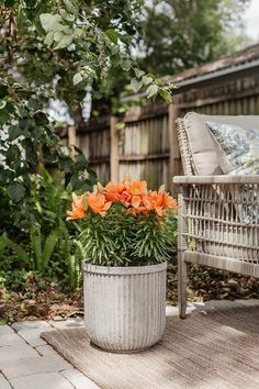 an outdoor area with a wicker chair and potted orange flowers on the ground