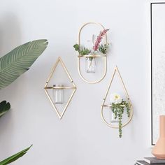 three wall hangings with plants and vases on them, one has a plant in it