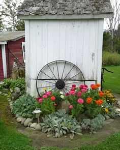 an old wheel sits in the middle of a flower bed with flowers growing around it