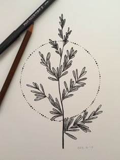 a drawing of a plant with leaves on it and a circle in the middle that says,