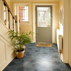 a door way with a potted plant next to it