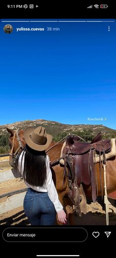 a woman is looking at two horses