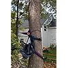 a person climbing up the side of a tree