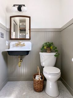 a white toilet sitting next to a sink in a bathroom under a mirror with a potted plant on top of it