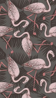 pink flamingos and palm leaves on a gray background