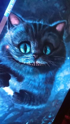 a close up of a cat with blue eyes on a computer screen in a room