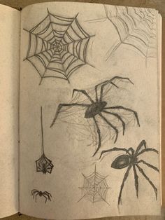 an open book with drawings of spider webs