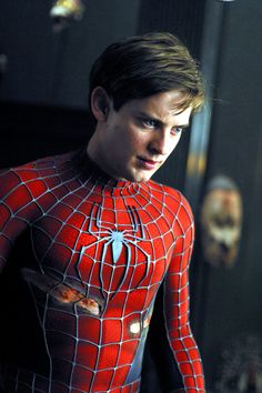 the amazing spider - man in his costume