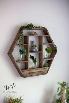 a wooden hexagonal shelf with plants on it