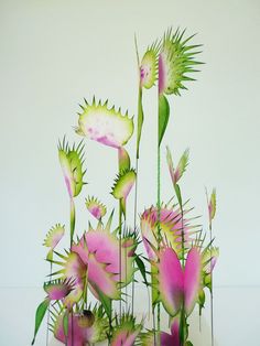 an arrangement of pink and green flowers in a vase