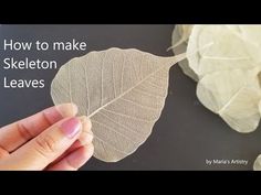 a person holding a leaf with the words how to make skeleton leaves written on it