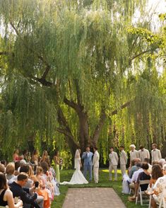 a wedding ceremony under a large willow tree