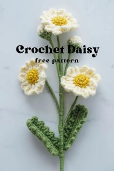 crochet daisy free pattern with text overlay that reads, crochet daisy free pattern