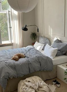 a dog laying on top of a bed in a bedroom next to a large window