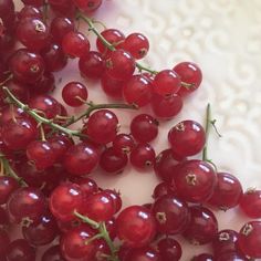 some red berries are laying on a white surface