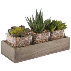 three succulents and rocks are placed in a wooden holder on a white background