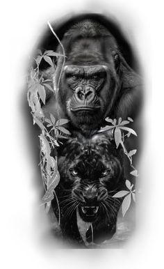 an image of two gorillas in black and white with leaves on the bottom half