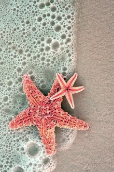 two starfishs on the beach with bubbles in the water