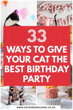 Best cat birthday party ideas for your pet, best cat birthday gift ideas and how to treat and spoil your cat or kitten on their birthday ideas Birthday For Cat Pets, Cat Birthday For Cats, Cat Birthday Party Ideas For Cats, Pet Cat Birthday Party Ideas, Diy Cat Birthday Cake