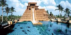 a water slide in the middle of a pool surrounded by palm trees and blue skies