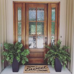 two potted plants are sitting on the front step of a home - built door