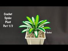 a potted plant with the words crochet spider plant part 1 - 2