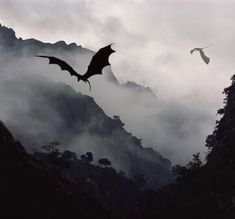 two bats flying in the sky above some trees and mountain tops on a cloudy day