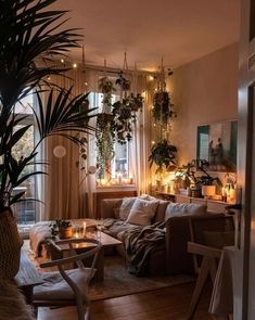 a living room filled with furniture and lots of plants