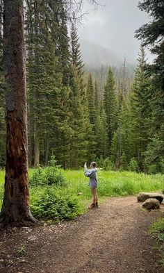 a person standing on a dirt road in the middle of a forest with tall trees