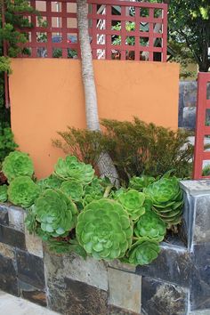 a planter filled with succulents next to a fence