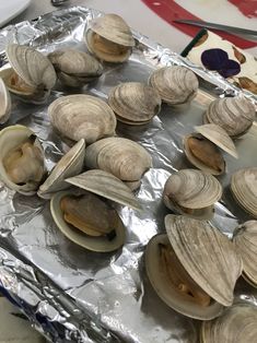 some clams are sitting on tin foil and ready to be cooked in the oven