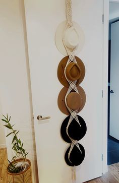 several hats are hanging on the wall next to a potted plant and door handle