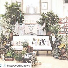 a living room filled with lots of potted plants