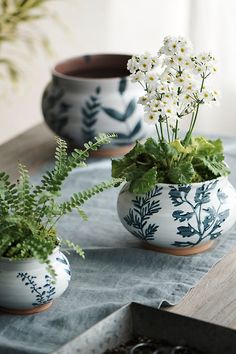 three ceramic pots with plants in them on a table