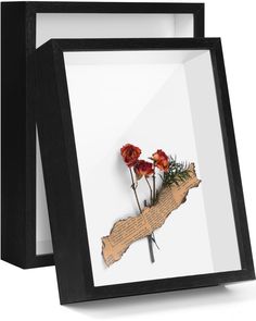 two framed pictures with flowers on them sitting next to each other in front of a white background