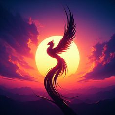 the silhouette of a bird with its wings spread out in front of a sunset background