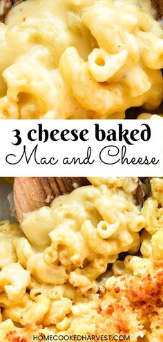 three cheese baked macaroni and cheese casserole